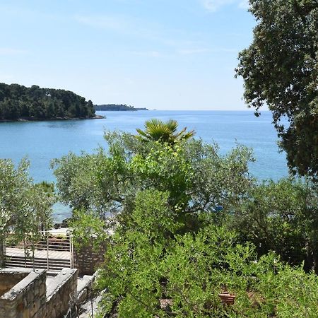 Buric House - Apartments Klasik And Studio Mini Rovinj Exterior foto